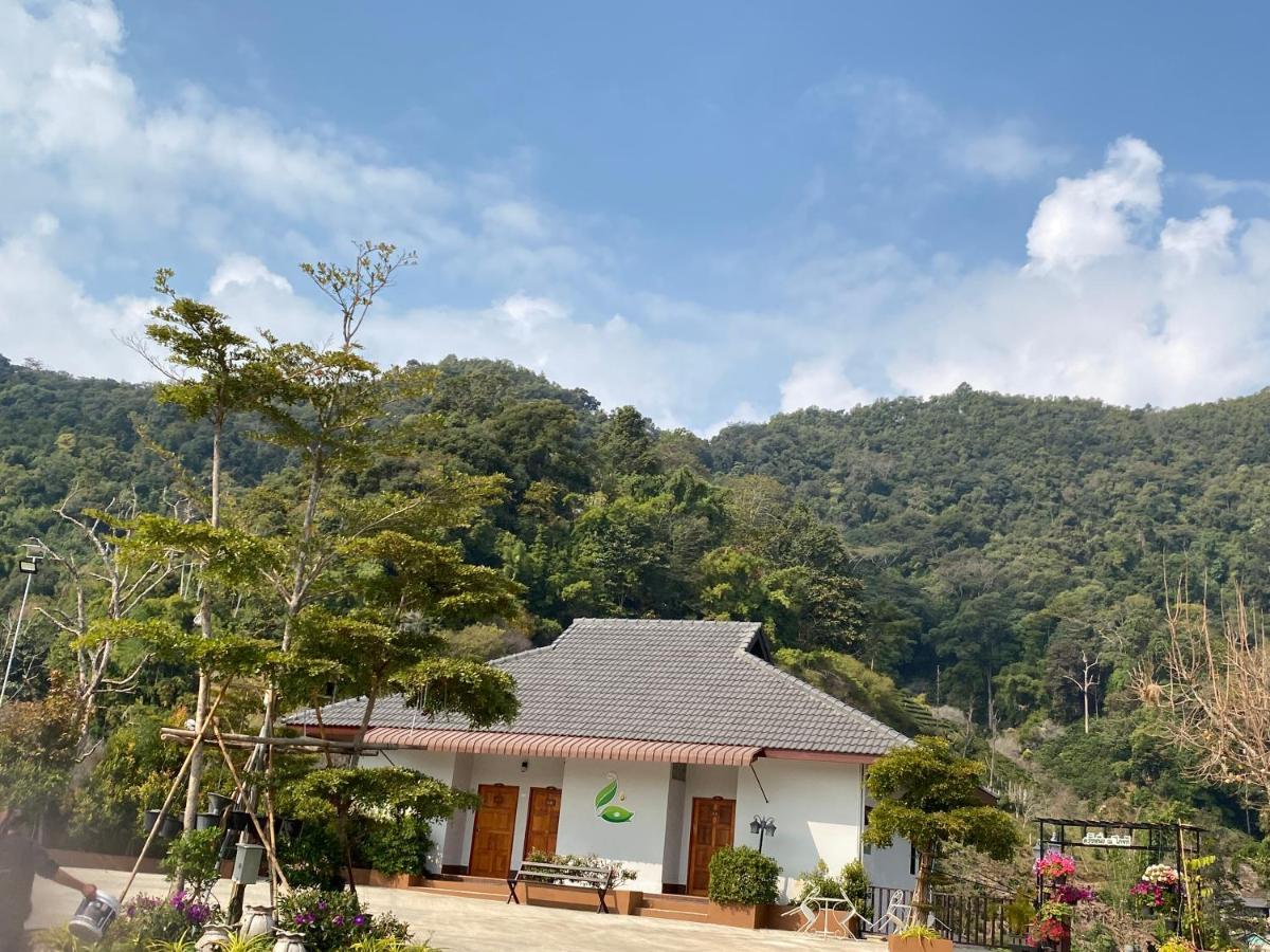 Thai Tea Garden Home Chiang Rai Zewnętrze zdjęcie
